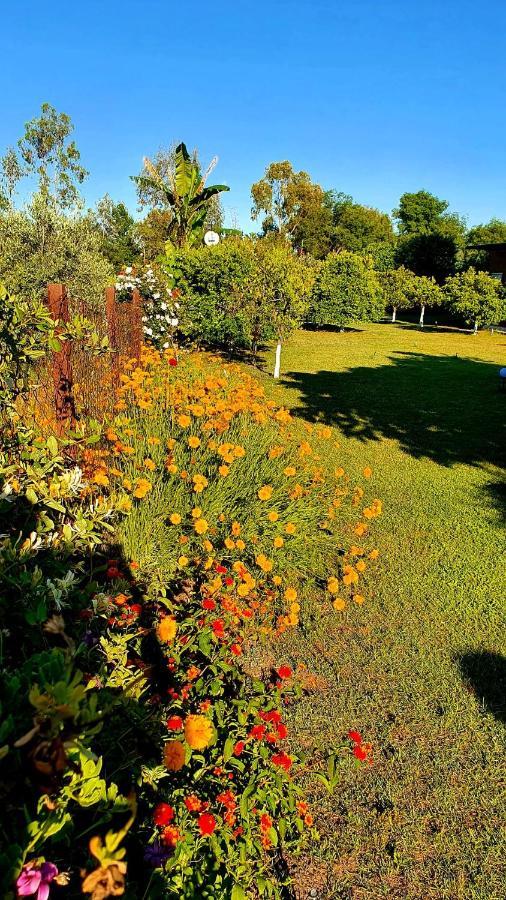 דירות קמר Flora Pansiyon Cirali מראה חיצוני תמונה